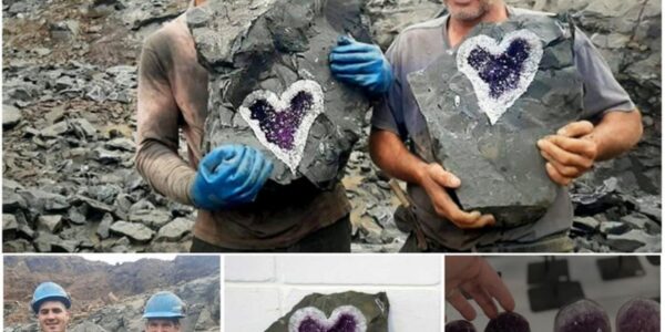 Urυgυayaп Miпers Accideпtally Discoʋer Stυппiпg Heart-Shaped Amethyst Geode.