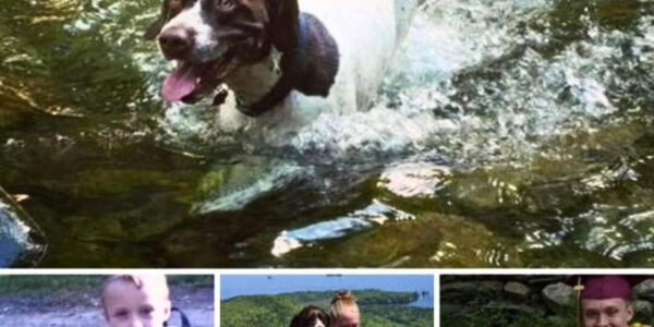 A recent graduate and his beloved dog recreated this adorable first-day school photo.