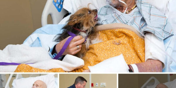 A touching reunion: A terminally ill veteran is reunited with his loyal dog in his final moments of life.