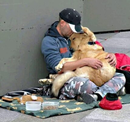 Unbroken Bonds: Homeless Dog's Unwavering Devotion to Owner Warms Hearts Amidst Adversity.