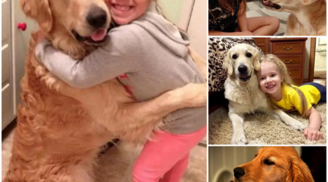 The Heartwarming Reunion Between a Dog and His Family Reached an Emotional Climax as He Tightly Embraced His Young Owner. This Touching Moment, Following 325 Days of Separation, Resonated with Millions Across the Globe.