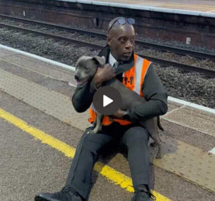 The Extraordinary Heroism of a 45-Year-Old Railway Worker: Risking His Own Life to Save a Helpless Puppy from an Oncoming Train, Leaving Witnesses Astonished and Social Media Users Deeply Touched Across the Globe