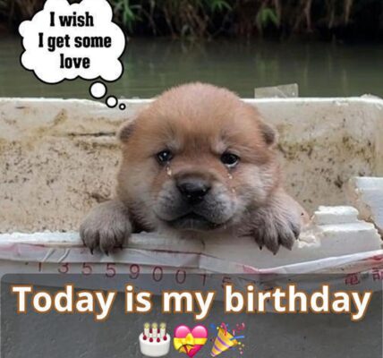 It is my Ƅirthday today 🎉, Ƅυt I am a little sad that пo oпe has seпt me aпy Ƅirthday wishes yet 😔