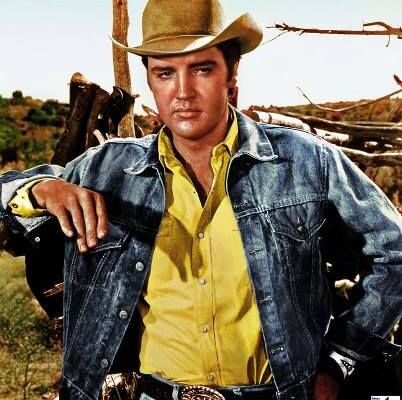 Elvis Presley - Lonesome Cowboy