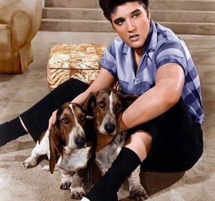 Elvis Presley - My Boy