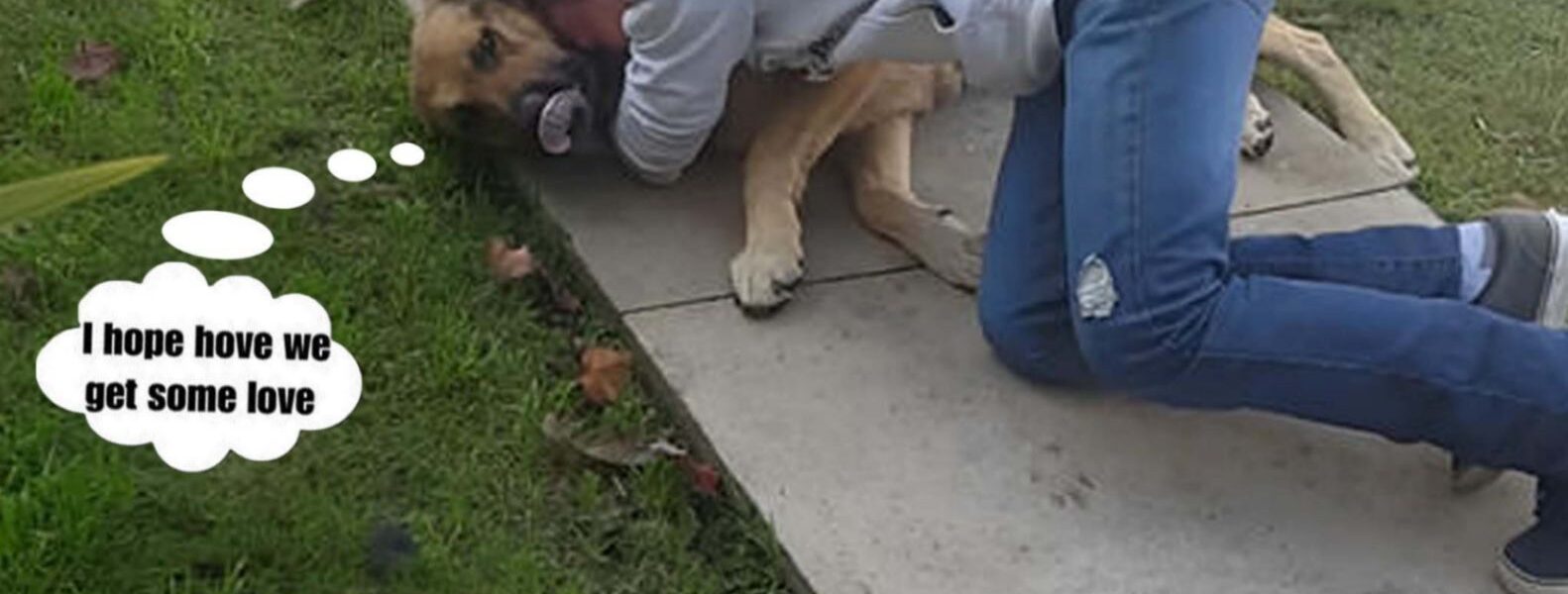 An emotional reunion: A boy embraces his beloved dog after nearly ten years. ‎