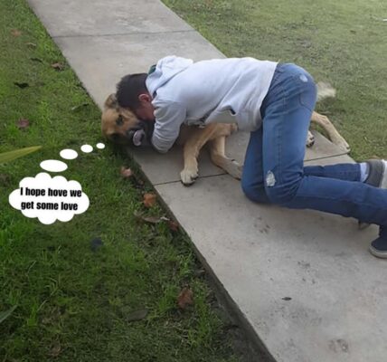 An emotional reunion: A boy embraces his beloved dog after nearly ten years. ‎