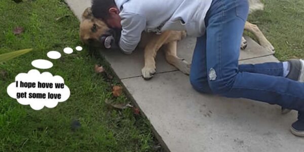 An emotional reunion: A boy embraces his beloved dog after nearly ten years. ‎