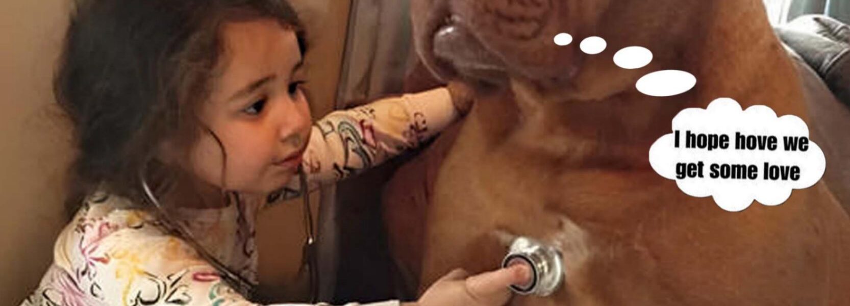 Acts of Kindness: A young girl's considerate gestures cheer up a sick dog named Lucky and inspire onlookers with her empathy and inventiveness. ‎