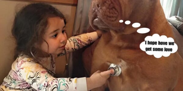 Acts of Kindness: A young girl's considerate gestures cheer up a sick dog named Lucky and inspire onlookers with her empathy and inventiveness. ‎