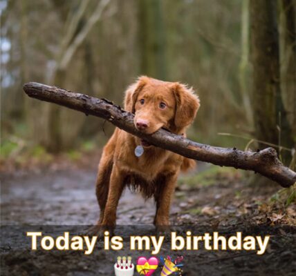 I am depressed because I feel alone on this day that is my birthday. ‎